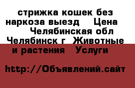 стрижка кошек без наркоза(выезд) › Цена ­ 500 - Челябинская обл., Челябинск г. Животные и растения » Услуги   